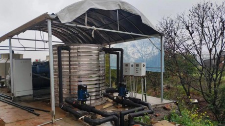 香菇种值大棚降温除湿案例